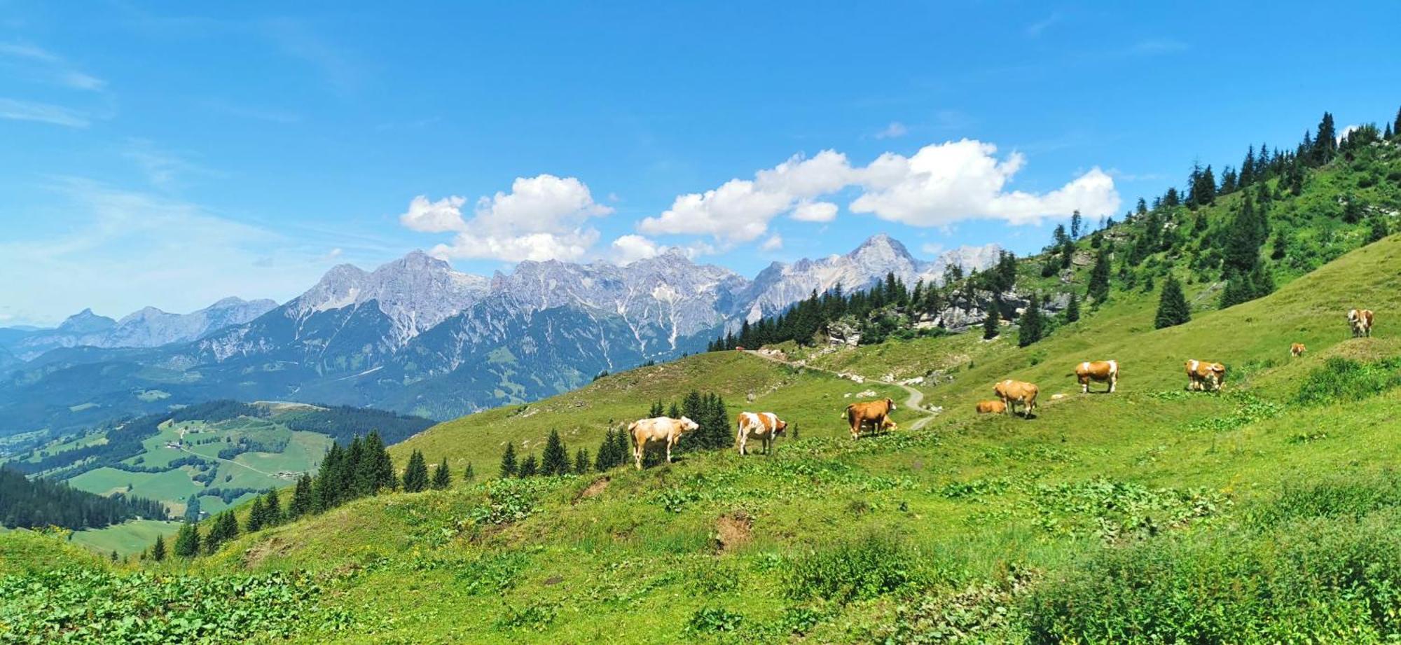 Maria Alm - Cozy & Modern Apartment Mountain View Saalfelden Екстер'єр фото